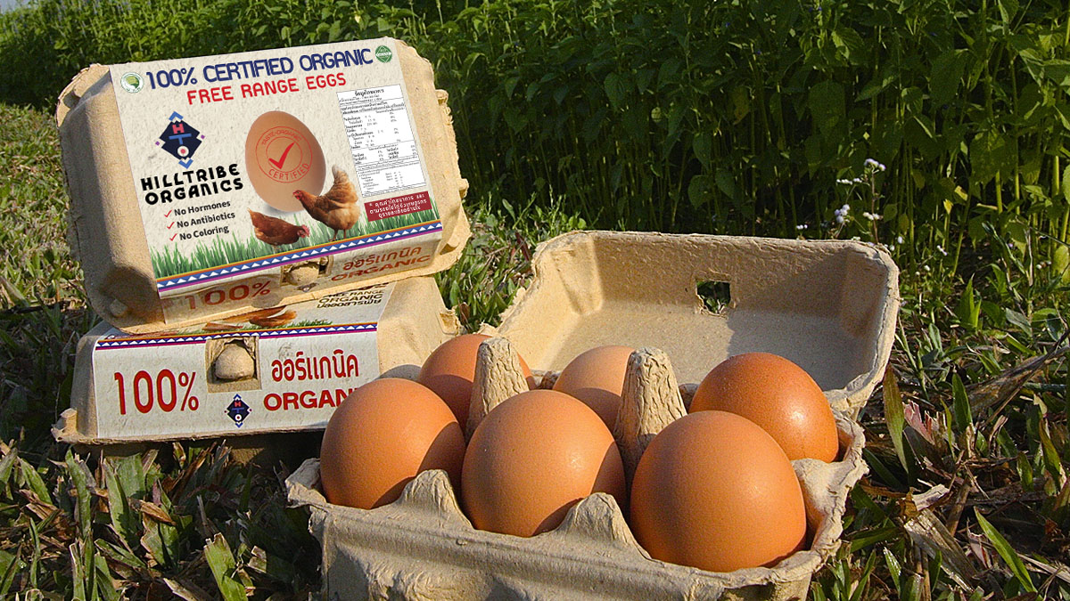 6 Reasons Why Eggs Are The Healthiest Food on The Planet