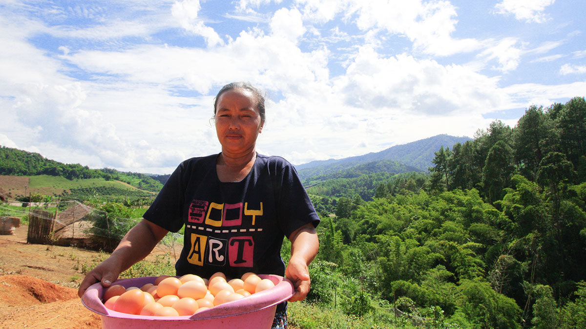 An Organic Egg Really Does Do Your Body Good